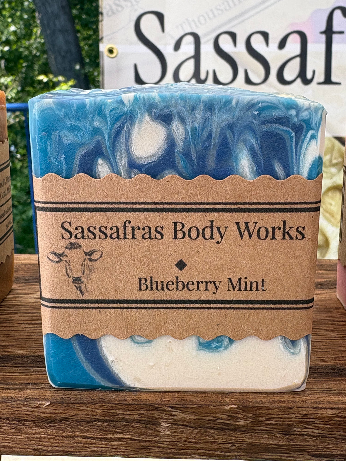 Blueberry Mint Tallow Soap